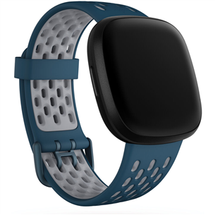 Fitbit discount versa dirzelis