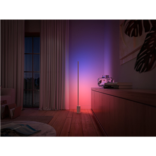 Šviestuvas Philips Hue Signe, White and Color Ambiance