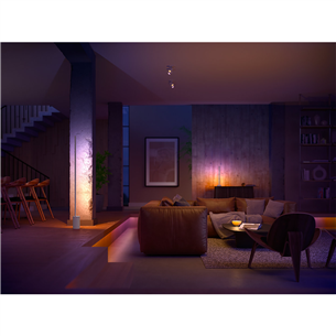 Šviestuvas Philips Hue Signe, White and Color Ambiance