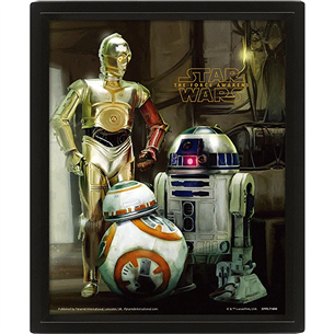 Plakatas Star Wars Droids, 20x25 cm, 3D