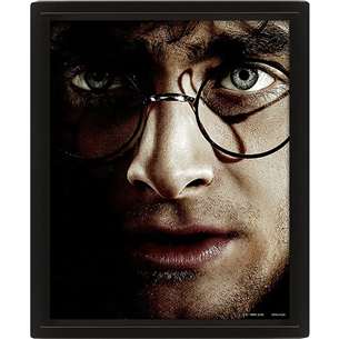 Plakatas Harry Potter vs Voldemort, 20x25 cm, 3D