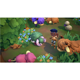 Fae Farm, Nintendo Switch - Game