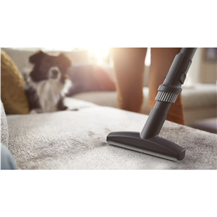 Philips Performer LED 8000 Series, 900 W, grey - Vacuum cleaner