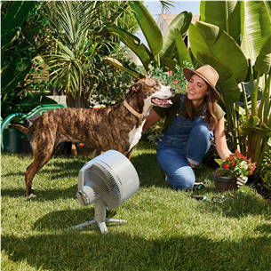 Shark FlexBreeze, white - Portable fan