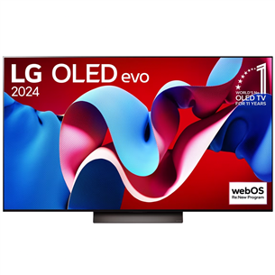 LG C4, 65'', 4K UHD, OLED, pilkas - Televizorius