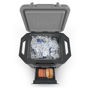 Ninja FrostVault, 28 L, grey - Car cooler