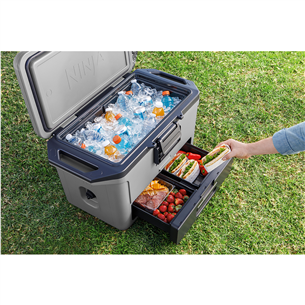 Ninja FrostVault, 47 L, grey - Car cooler