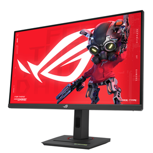 Asus ROG Strix XG27UCS, 27'', UHD, IPS, 160 Гц, черный - Монитор