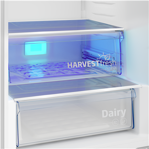 Beko, NeoFrost, 355 L, height 204 cm, dark inox - Refrigerator