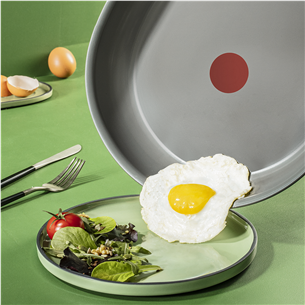 Tefal Renewal, 28 cm, grey - Frypan