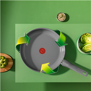 Tefal Renewal, 28 cm, grey - Frypan