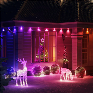 Twinkly Reindeers Stag, RGB, IP44, skaidri - LED dekoratyvinė lempa