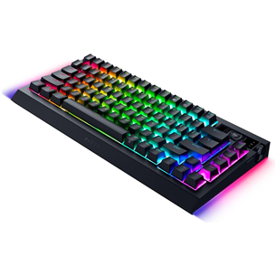 Razer Blackwidow Pro 75%, tactile, black - Wireless keyboard