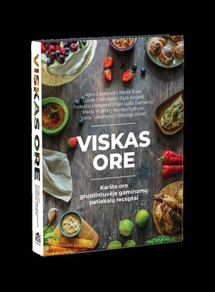 Viskas Ore, recipe book for airfryer, Helios