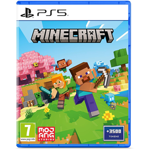 Žaidimas Minecraft, PlayStation 5